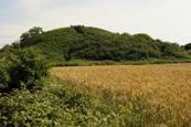 Tumulus-Butte-de-César-arzon-morbihan-bretagne sud OT Arzon