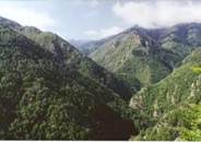 Réserve naturelle régionale de Nyer - Pyrénées-Orientales