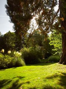 Parc du Casino