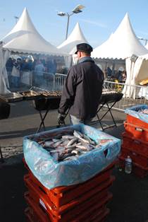 La Fête du Hareng