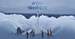 Avis de tempête
