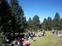 pic nic