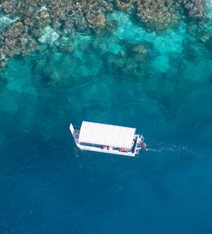 Ouest Corail - Glass bottom boat and snorkeling