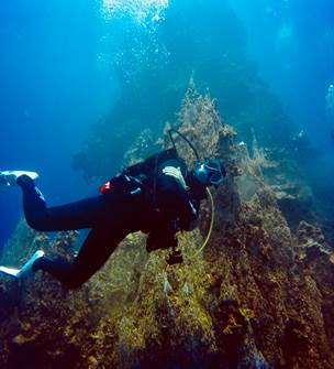 Mobula Diving