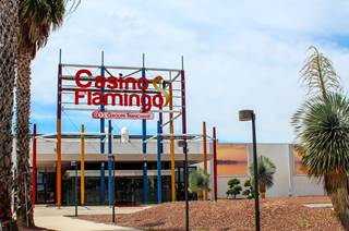 Casino Flamingo