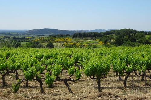 Vue sur le vignoble de l'Uzège et le village d'Estézargues- Photo CC Pont du Gard ©