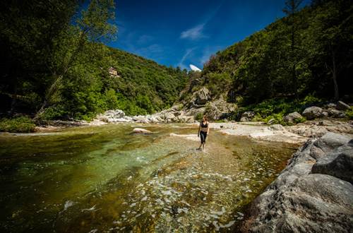 Camping Cévennes Provence - 06 ©